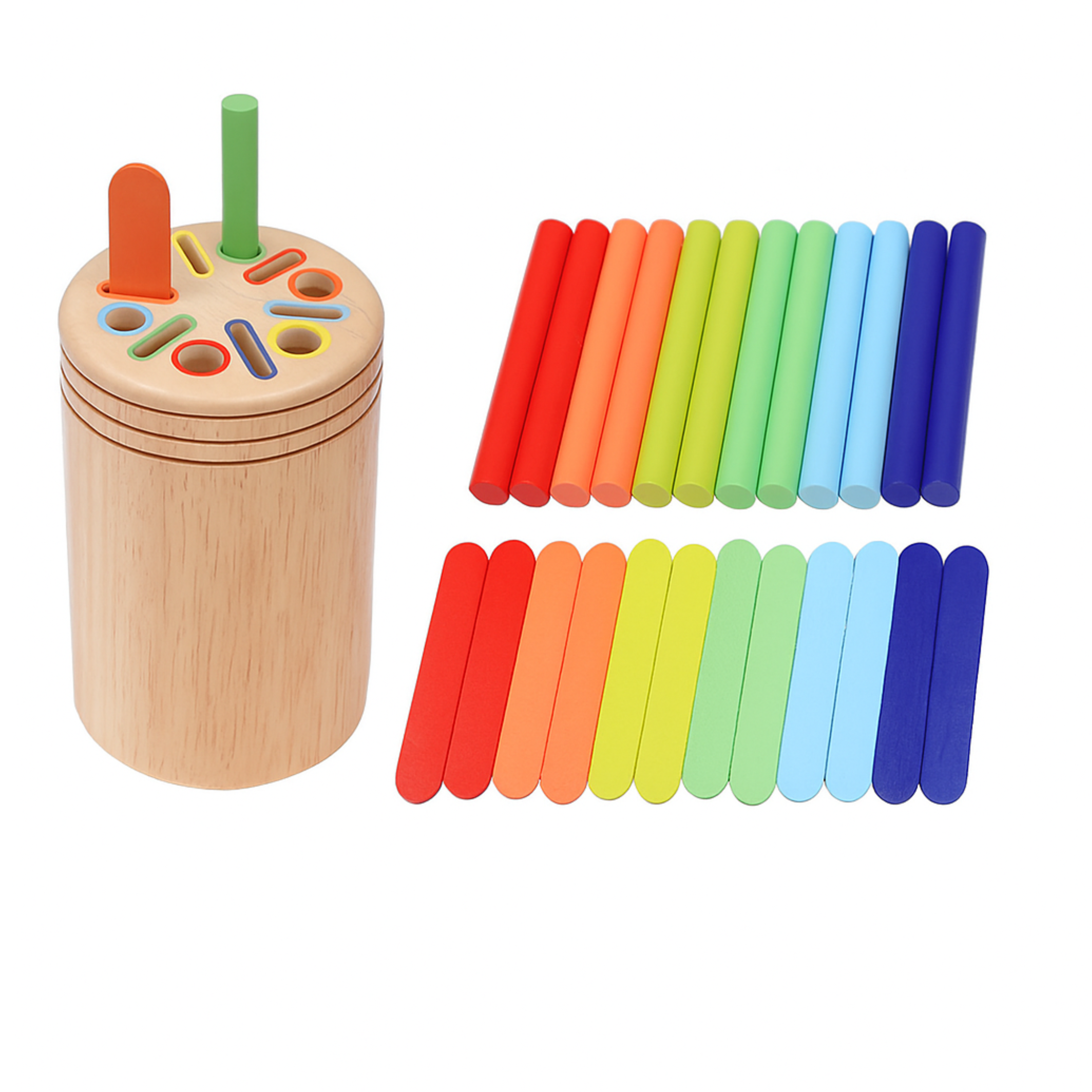 Montessori Color Sorting Puzzle